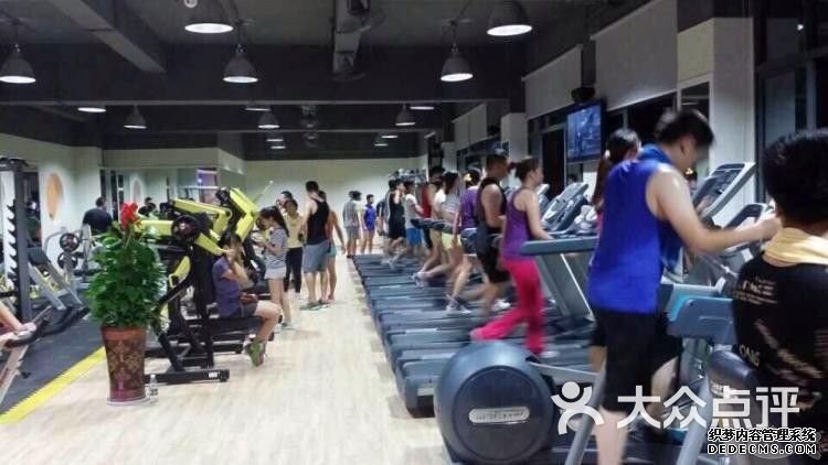 八桥镇：“双网格”为群众解决上万件难题